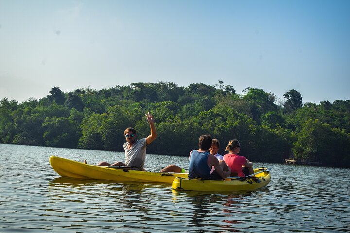 mangrove kayaking bentota